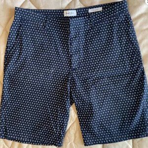 GoodFellow & Co Blue Print Linden Shorts (34W) (10.5" Inseam)